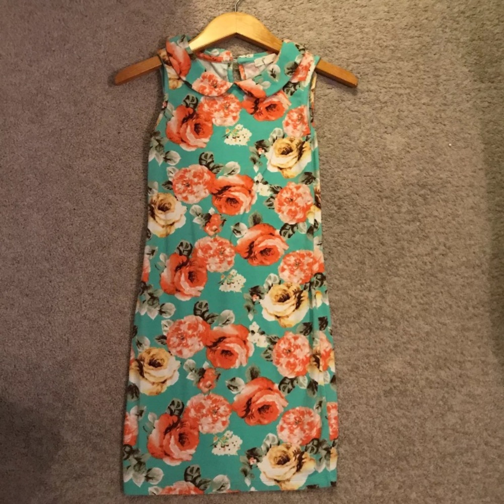 Dress (bodycon)