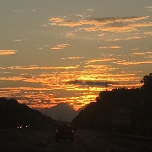 Meet your Posher, Cynthia