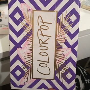 Brand new color pop lip palete(staycation)