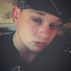 Meet your Posher, Dillon