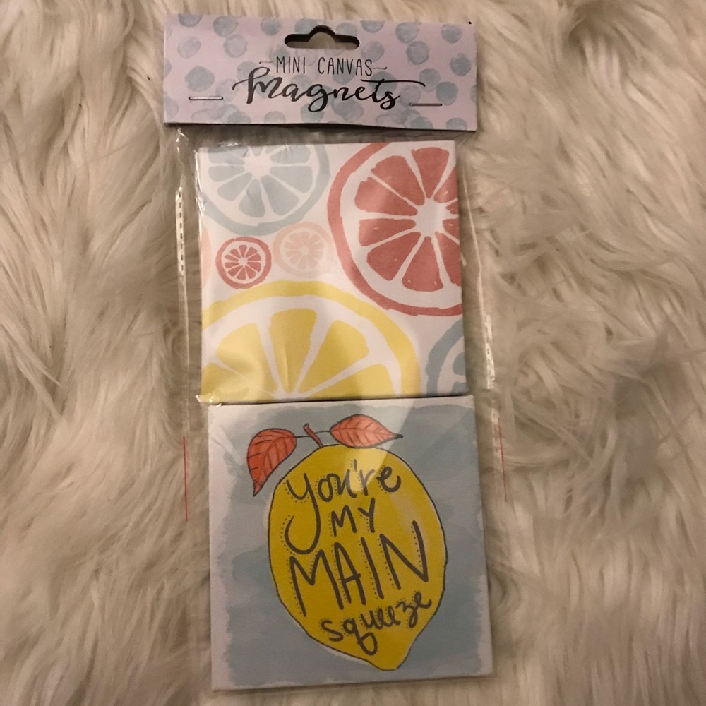 Super cute Refrigerator Magnets