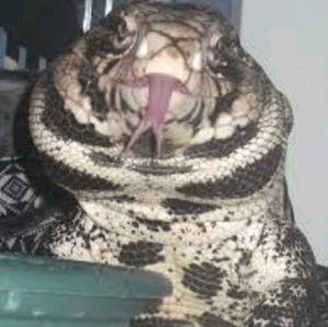 Meet your Posher, Zach