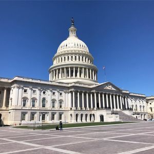 Meet your Posher, Rashmin