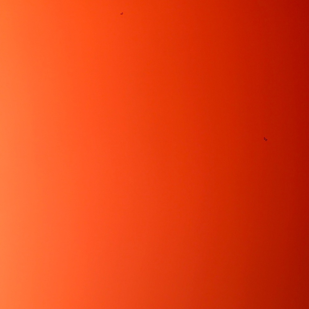 Meet your Posher, Tai-