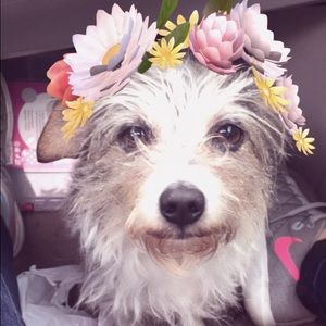 Meet your Posher, Becky