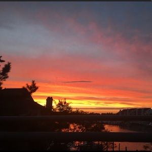 Meet your Posher, Tia