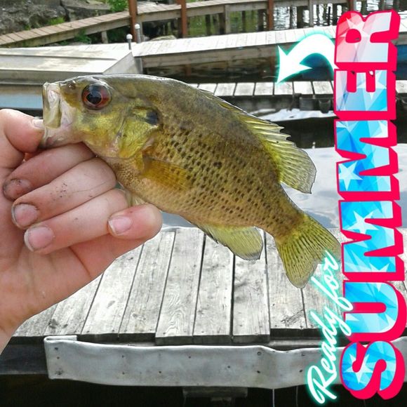 Meet your Posher, Jason - Picture 1 of 1