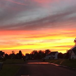 Meet your Posher, Enza