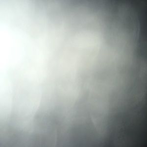 Meet your Posher, Joey