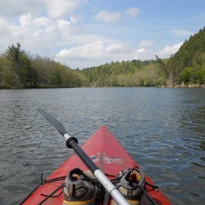 Meet your Posher, Tina