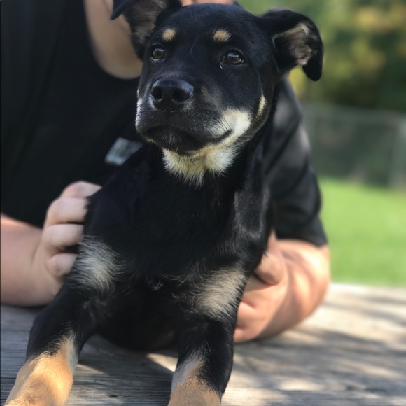 Meet your Posher, Elma - Picture 1 of 1