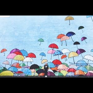 Meet your Posher, Shelley