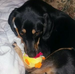 Meet your Posher, Lindsay