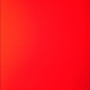 Meet your Posher, Nelson