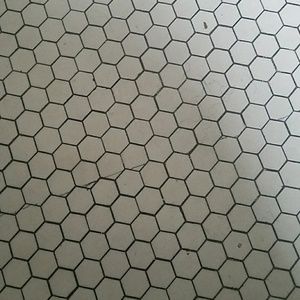 Meet your Posher, Leonette