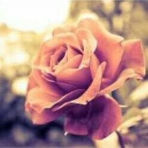 Meet your Posher, Ciara