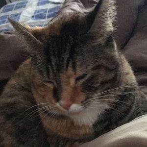 Meet your Posher, Sandra