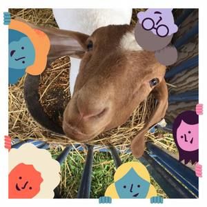 Meet your Posher, Tia