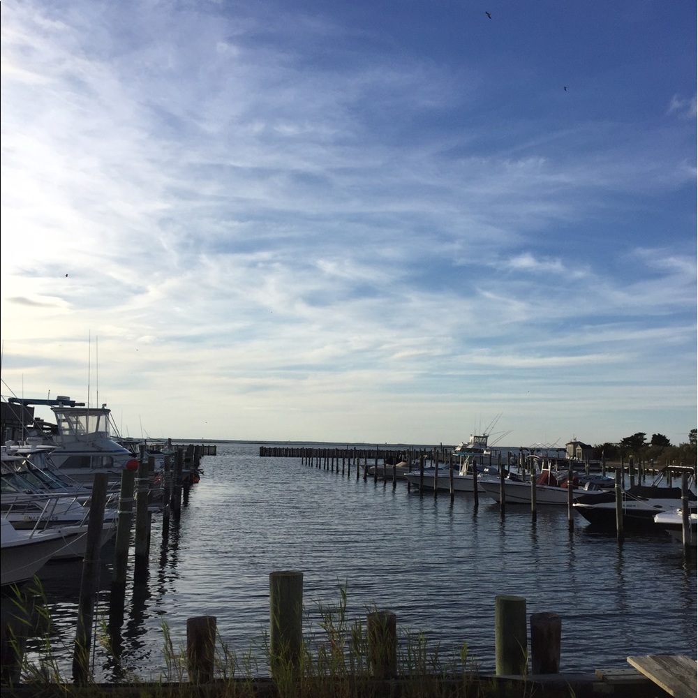 Meet your Posher, Francine