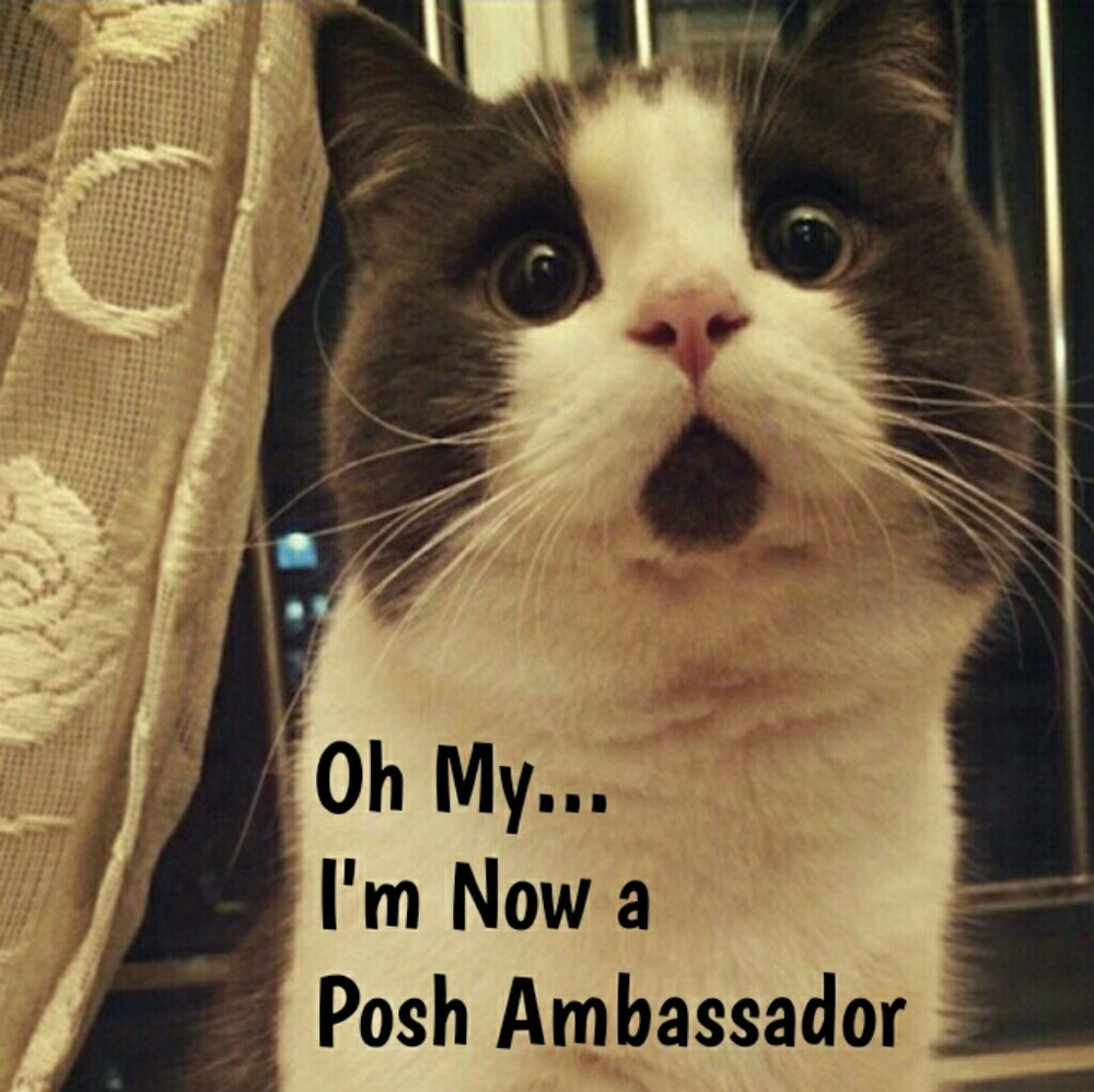 Posh Ambassador/Suggested User