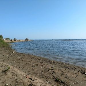 Meet your Posher, Dawn