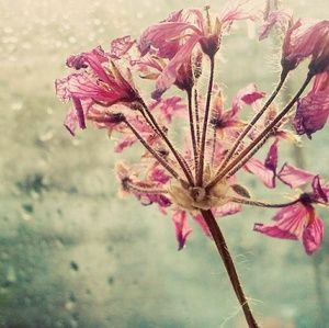 Meet your Posher, Eve