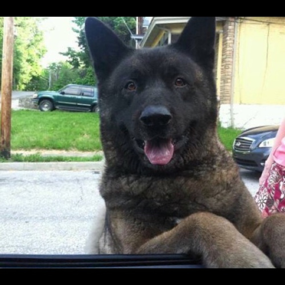 💜💜💜Welcome to My Closet! 💜💜💜