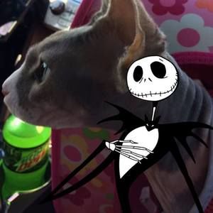 Meet your Posher, Cindy