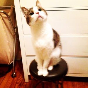 Meet your Posher, Kelly