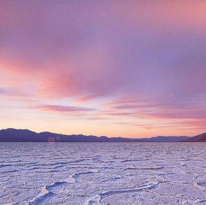 Meet your Posher, Jesse