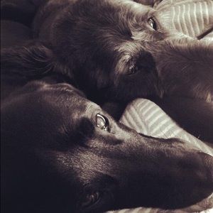 Meet your Posher, Bryan