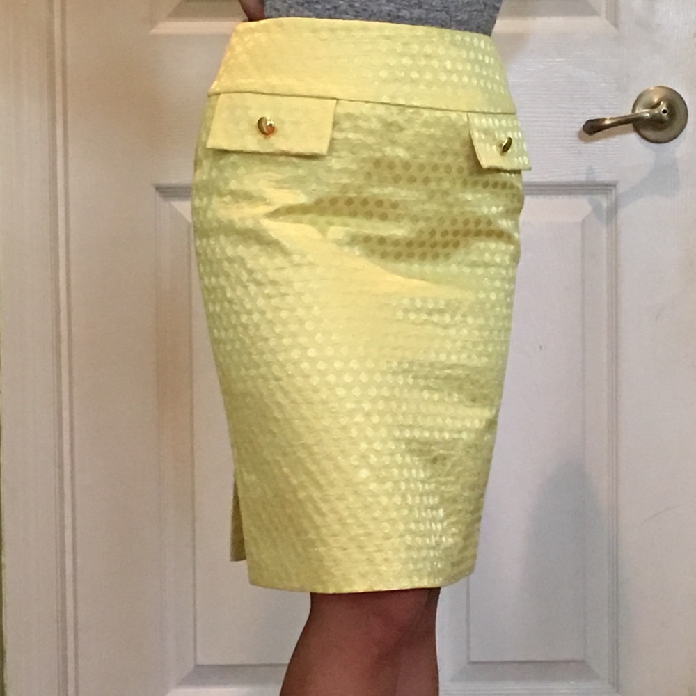 Ladies Work Skirt
