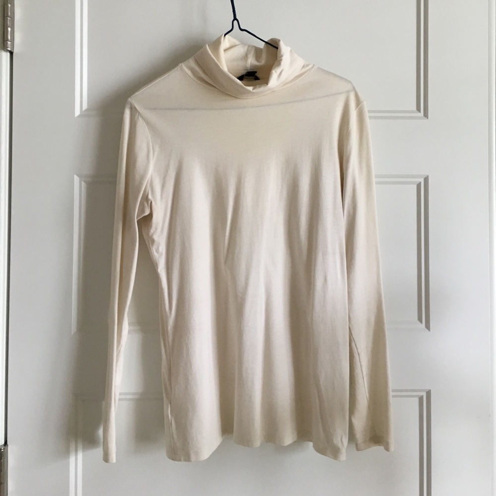 Ann Taylor Turtleneck