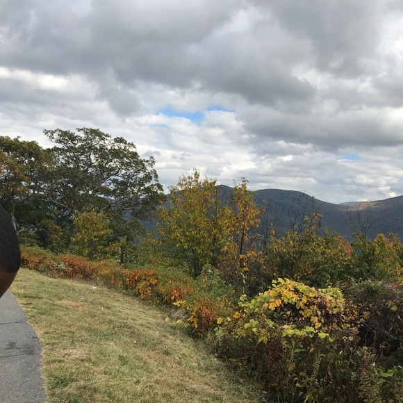 Meet your Posher, Crystal - Picture 1 of 1