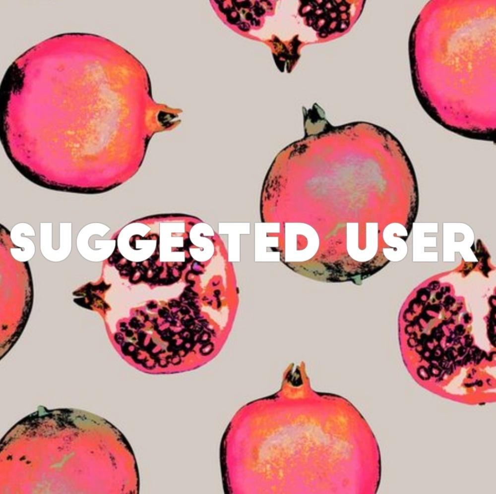 Suggested User / Posh Ambassador
