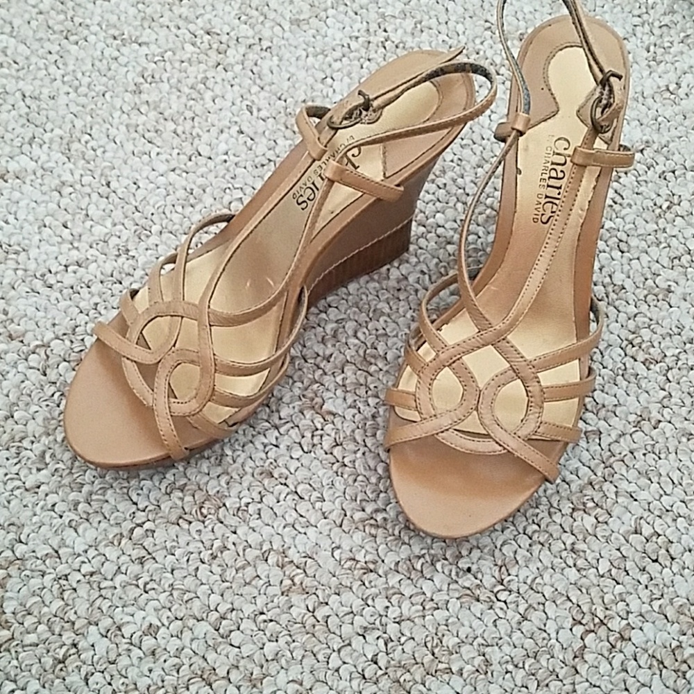 shoe