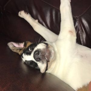 Meet your Posher, Victor