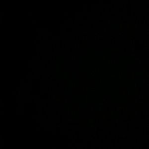 Meet your Posher, Pablo