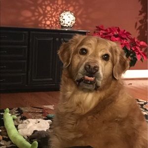 Meet your Posher, Debbie