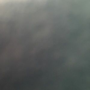 Meet your Posher, Lexi