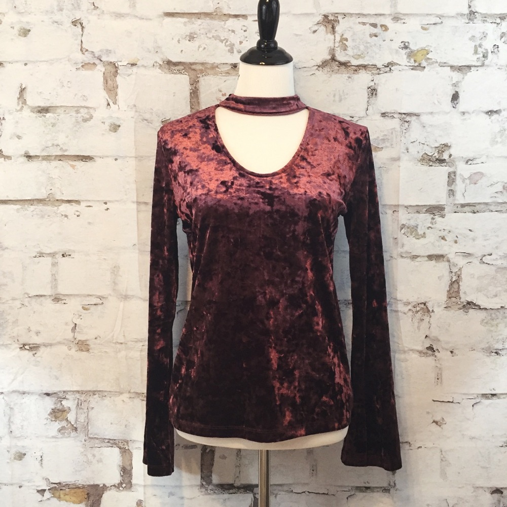 Sanctuary Velvet Daisy top in Zinfandel
