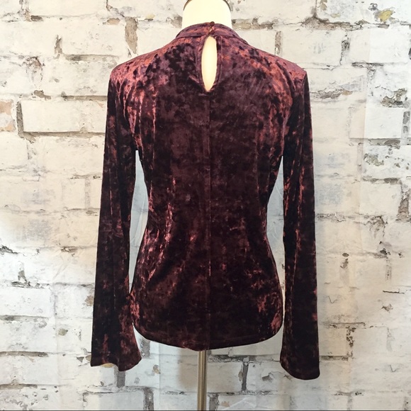 Sanctuary Velvet Daisy top in Zinfandel - Picture 2 of 8