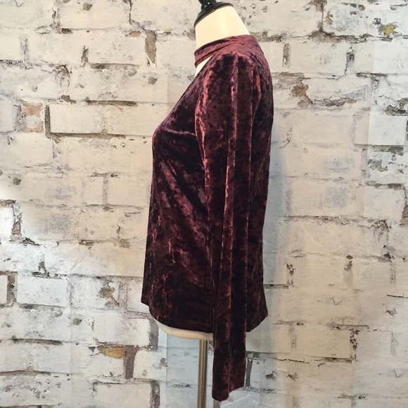 Sanctuary Velvet Daisy top in Zinfandel - Picture 6 of 8