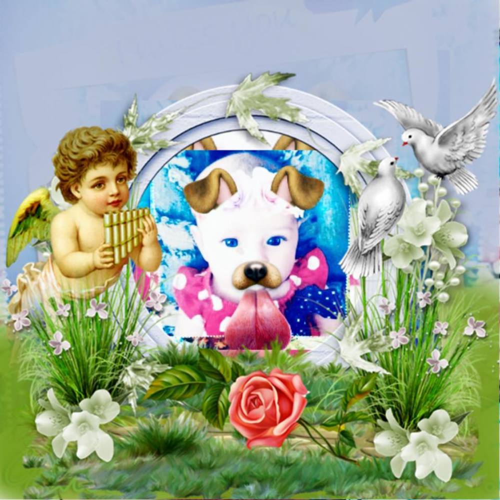 Meet your Posher, Alyvia