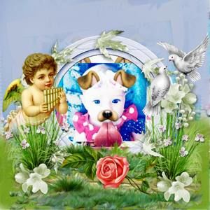 Meet your Posher, Alyvia