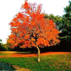 Meet your Posher, Jan