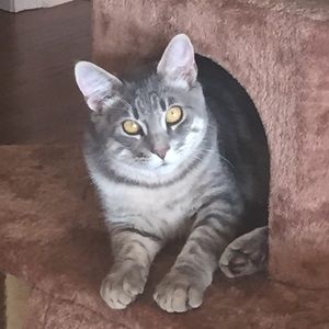 Meet your Posher, Shiela