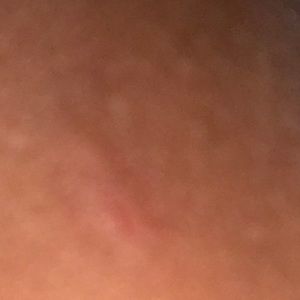 Meet your Posher, Earl