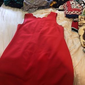 Bright pink scalloped J Crew plus size dress!