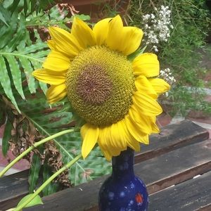 Meet your Posher, Lejla